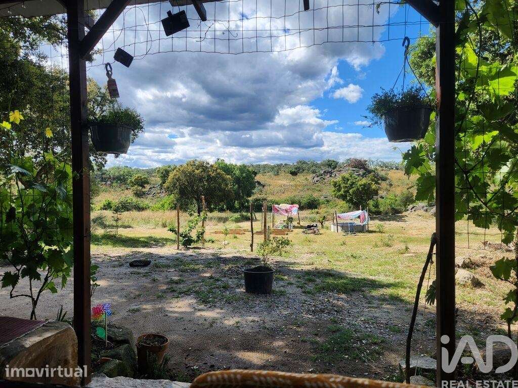 Casa de Campo T1 em Escalos de Baixo e Mata de 64 m2 - Grande imagem: 3/40