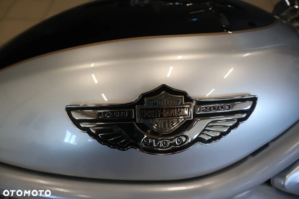 Harley-Davidson V-Rod Night Rod - 10