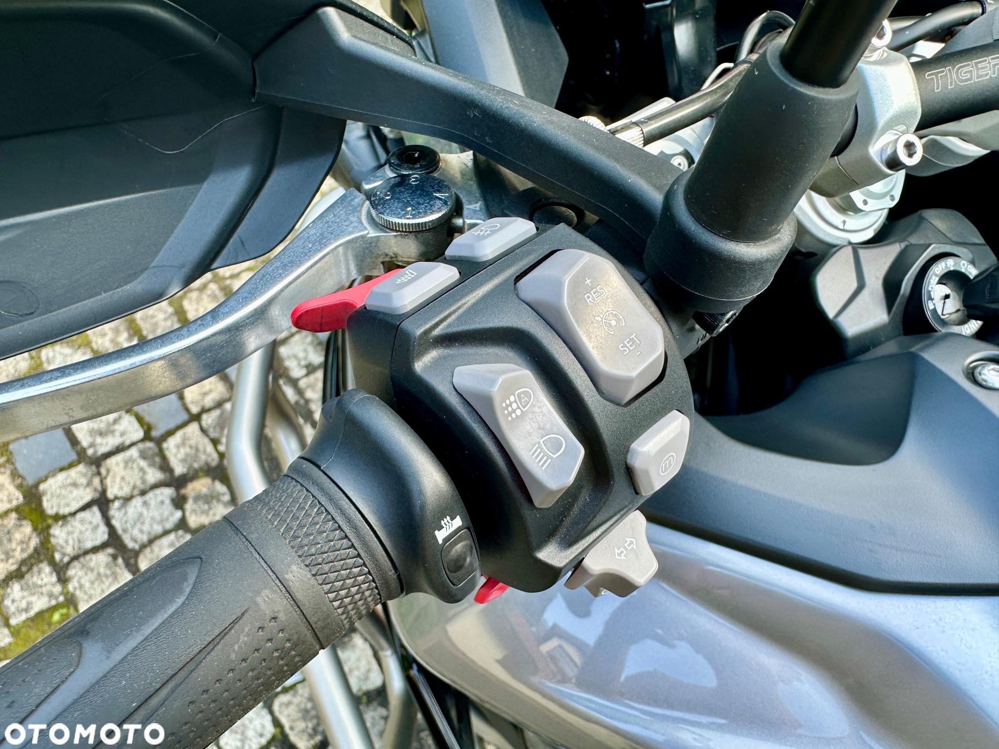 Triumph Tiger - 13