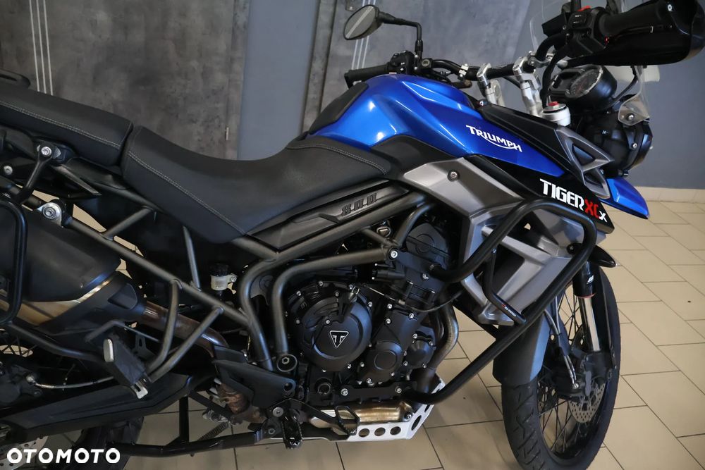 Triumph Tiger - 8