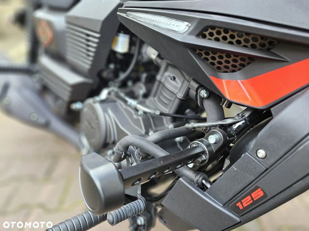 UM Renegade Vegas - 7