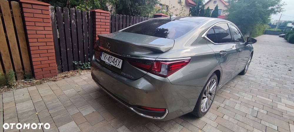 Lexus ES 300h Omotenashi - 15