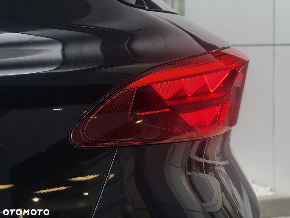 Cupra Terramar - 13