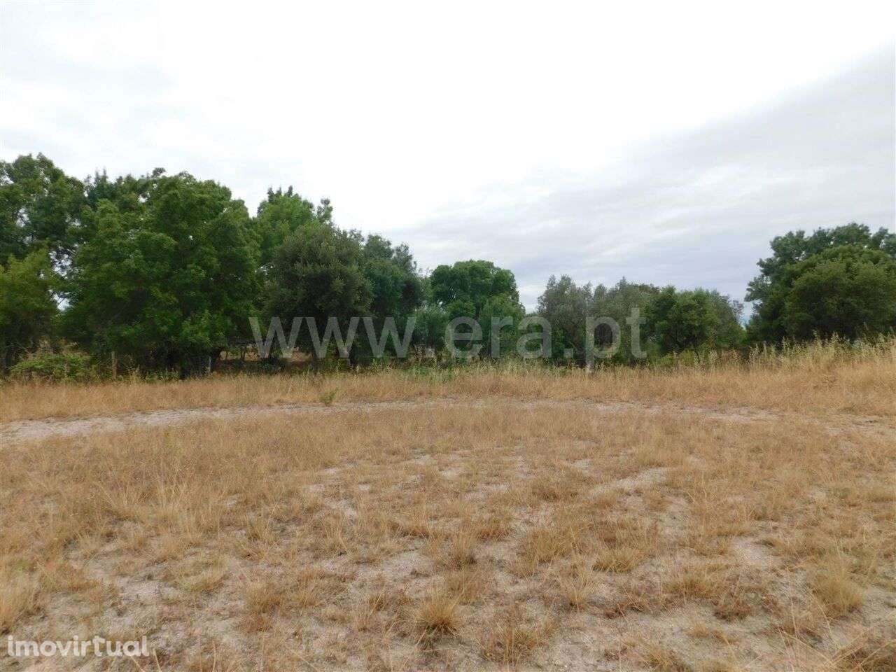 Terreno / Fundão, Soalheira - Grande imagem: 4/5