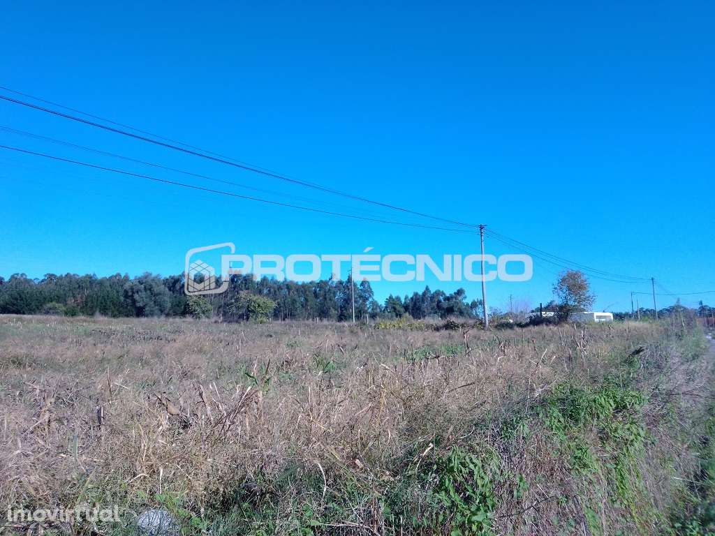 Terreno p/ construção de Moradias Isoladas - Oliveirinha - Grande imagem: 3/4