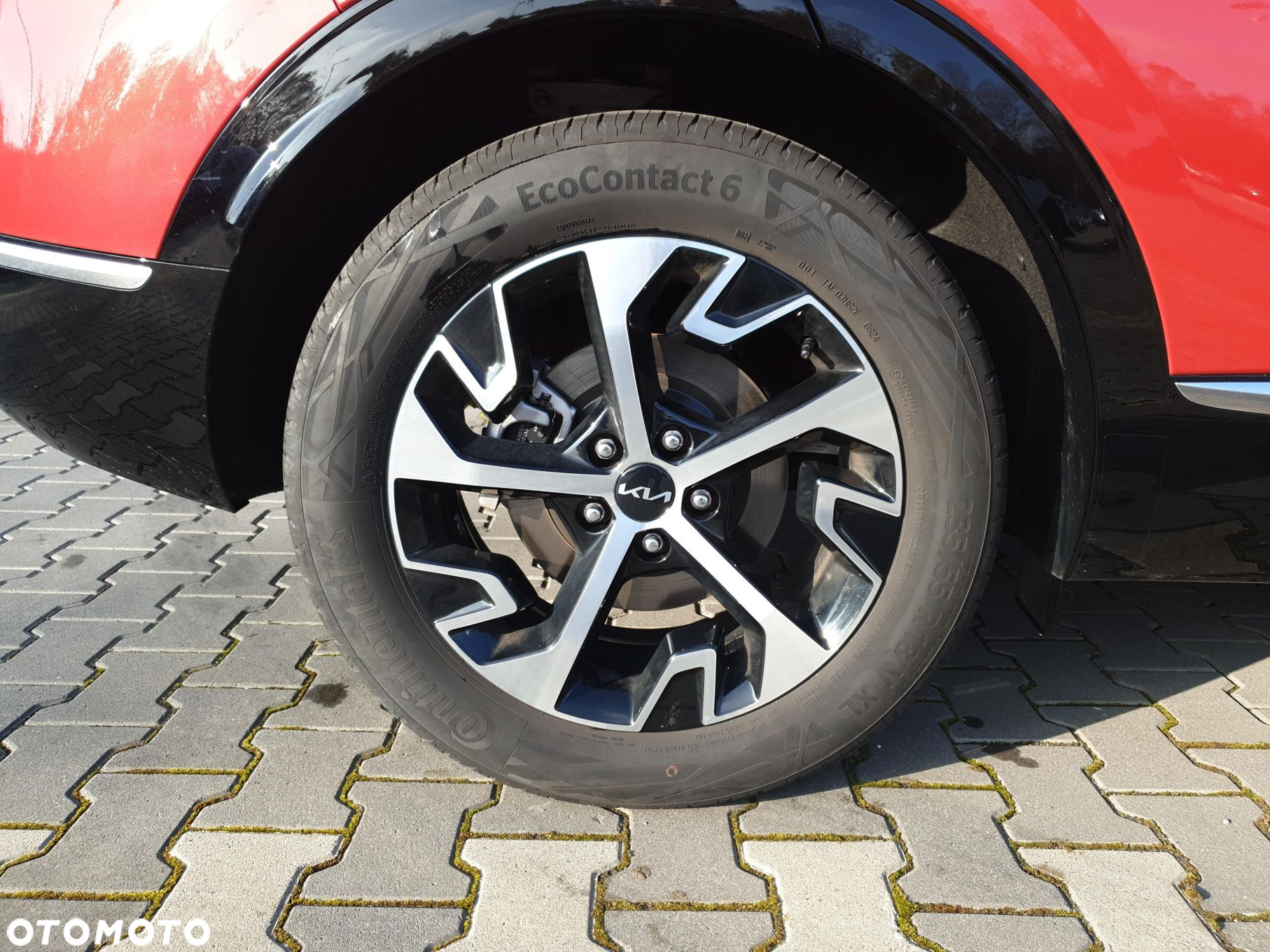 Kia Sportage 1.6 T-GDI MHEV Business Line 2WD DCT - 18