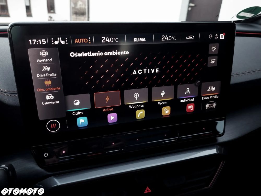 Cupra Formentor 2.0 TSI 4Drive VZ DSG - 31