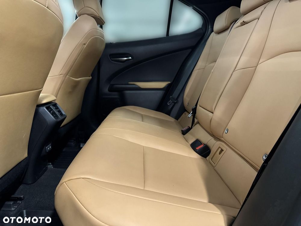 Lexus UX 250h GPF F Sport Design 2WD - 10