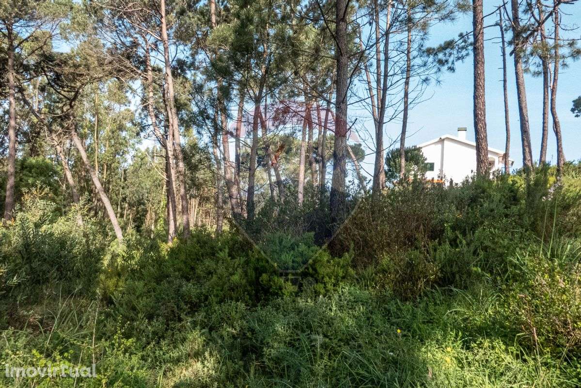 Terreno  para venda - Grande imagem: 5/13