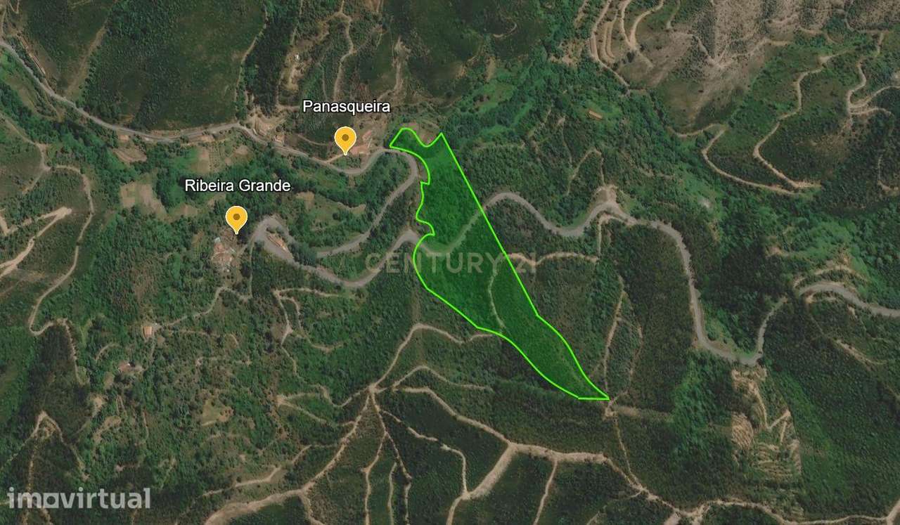 QUINTA COM 2,8 HA, RIBEIRA E  NASCENTES | MONCHIQUE - Grande imagem: 5/12