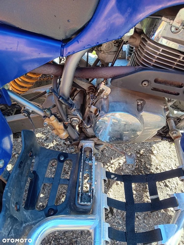 Polaris Predator - 7