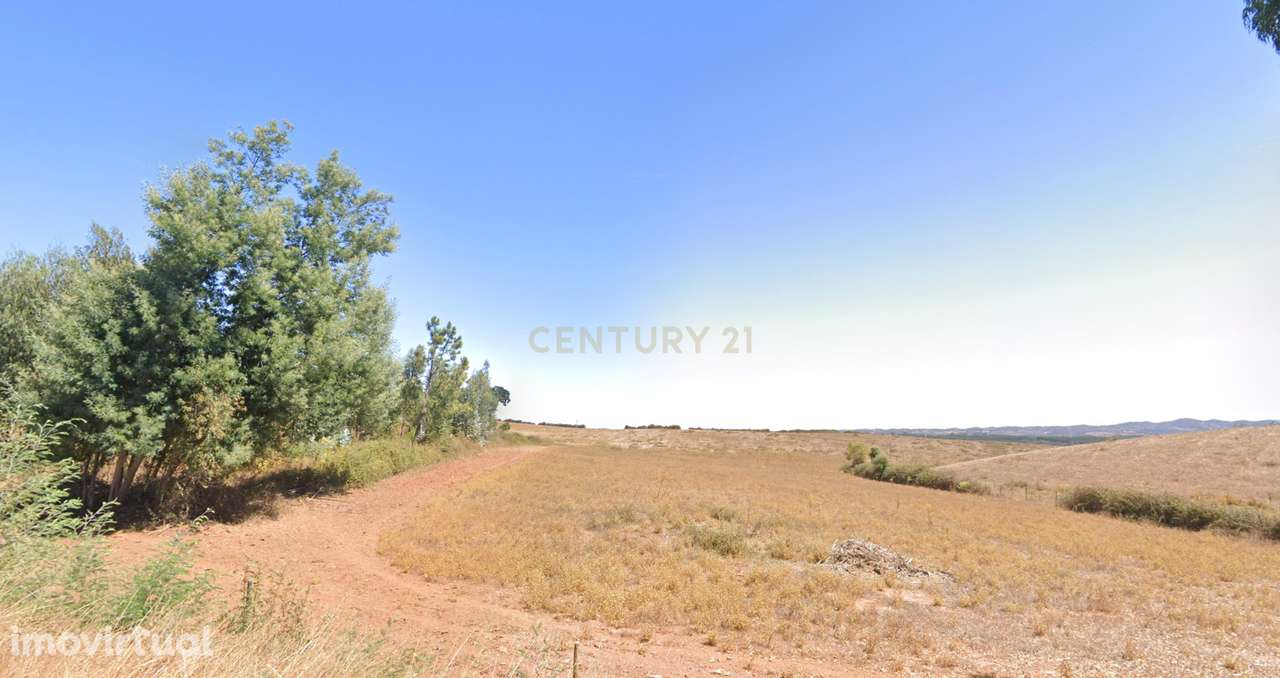 Herdade Raco de Baixo - S. Luís Nascente - Grande imagem: 3/5