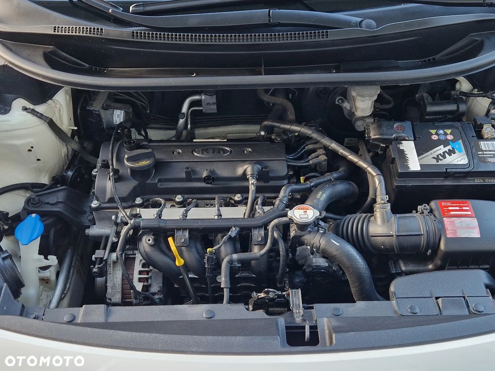 Kia Rio 1.2 Fifa World Cup Edition - 15