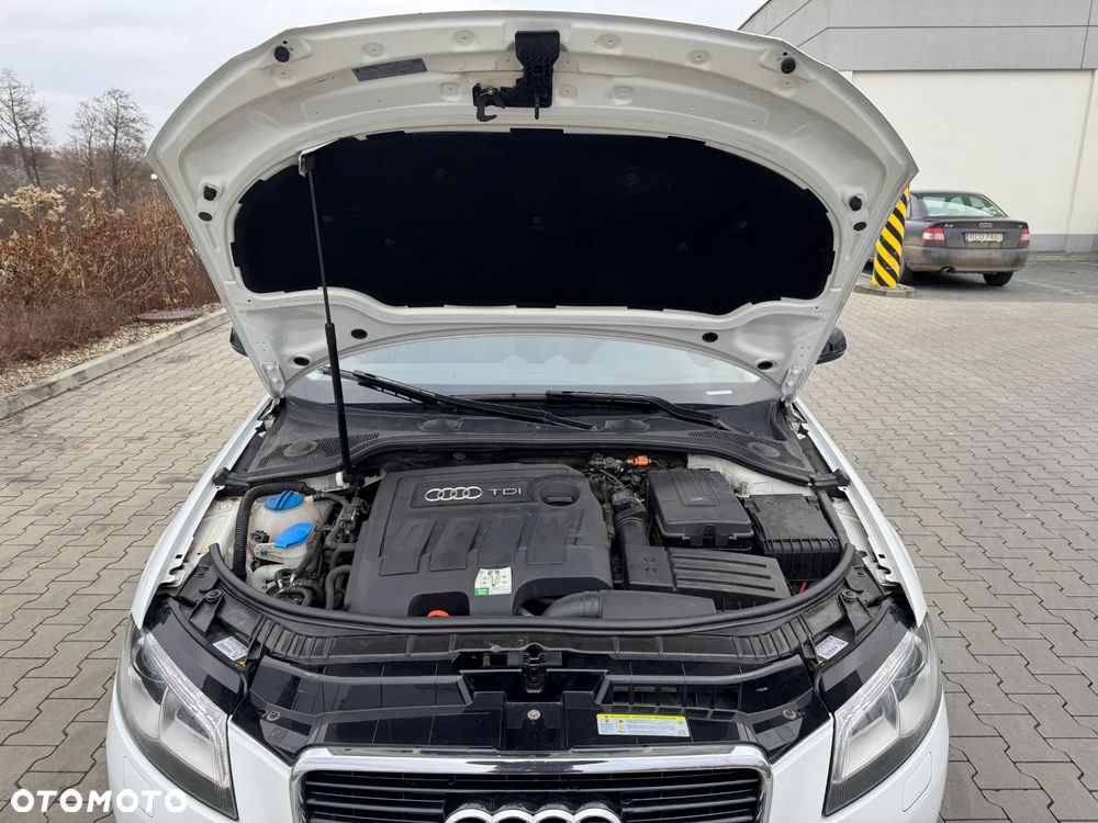 Audi A3 Sportback 1.6 TDI Attraction - 37