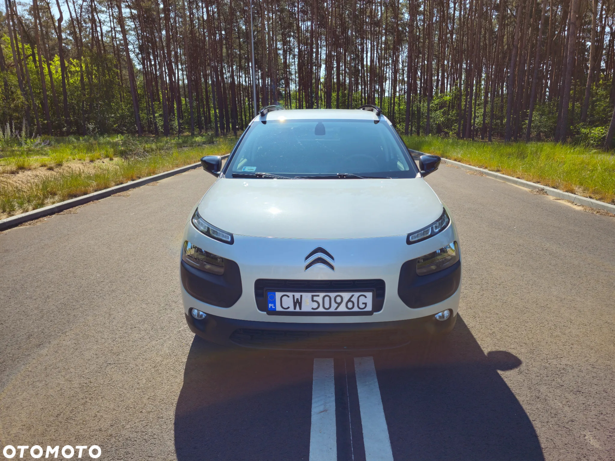 Citroën C4 Cactus 1.6 BlueHDi Shine - 5
