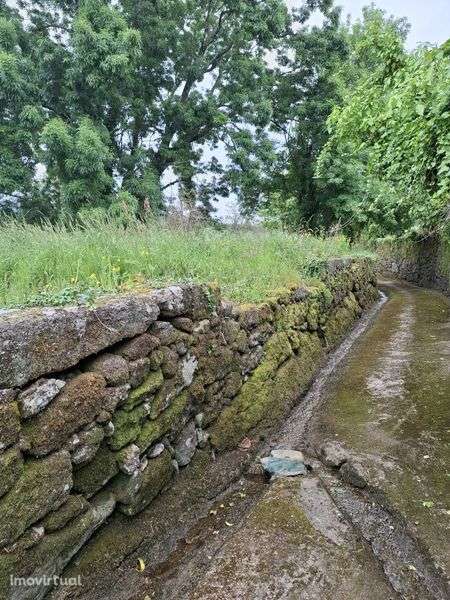 MELGAÇO, Duas quintas com 2 moradias par reconstrução - Grande imagem: 2/3
