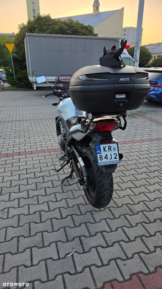 Honda CBF - 5