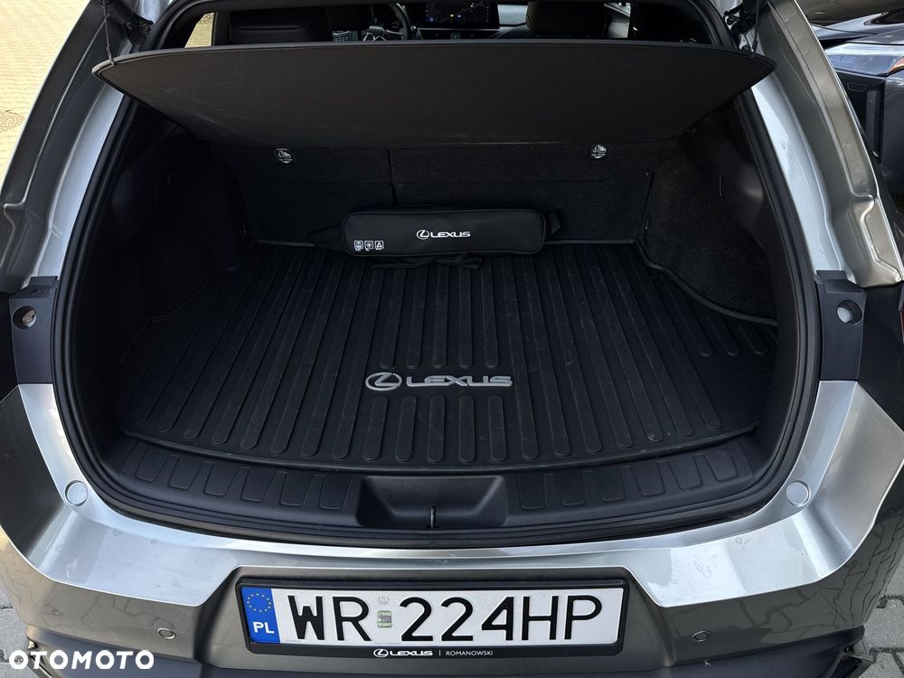 Lexus UX 300h F Sport Design - 35