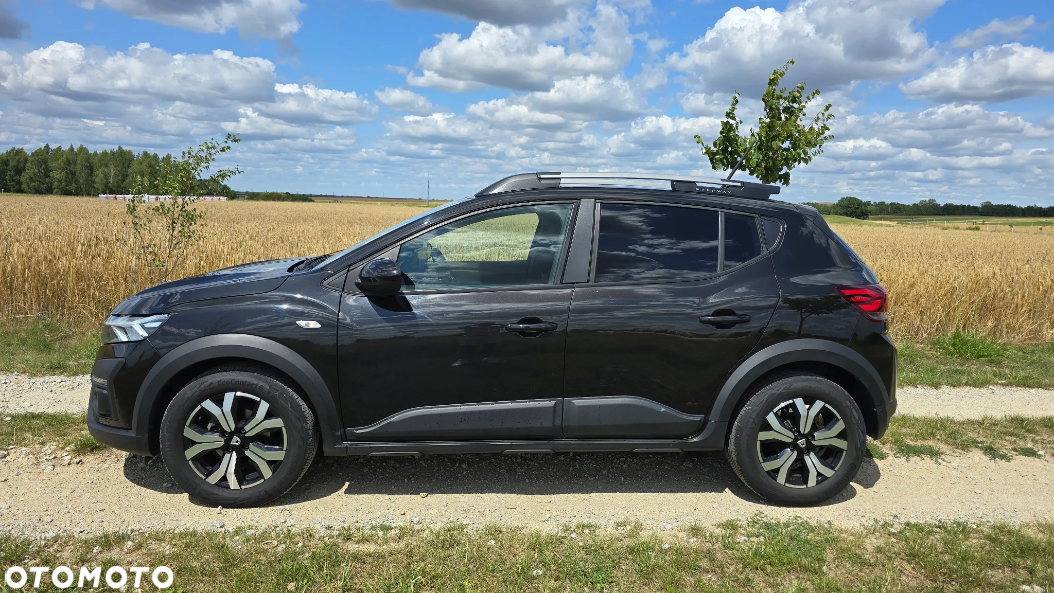 Dacia Sandero Stepway - 4