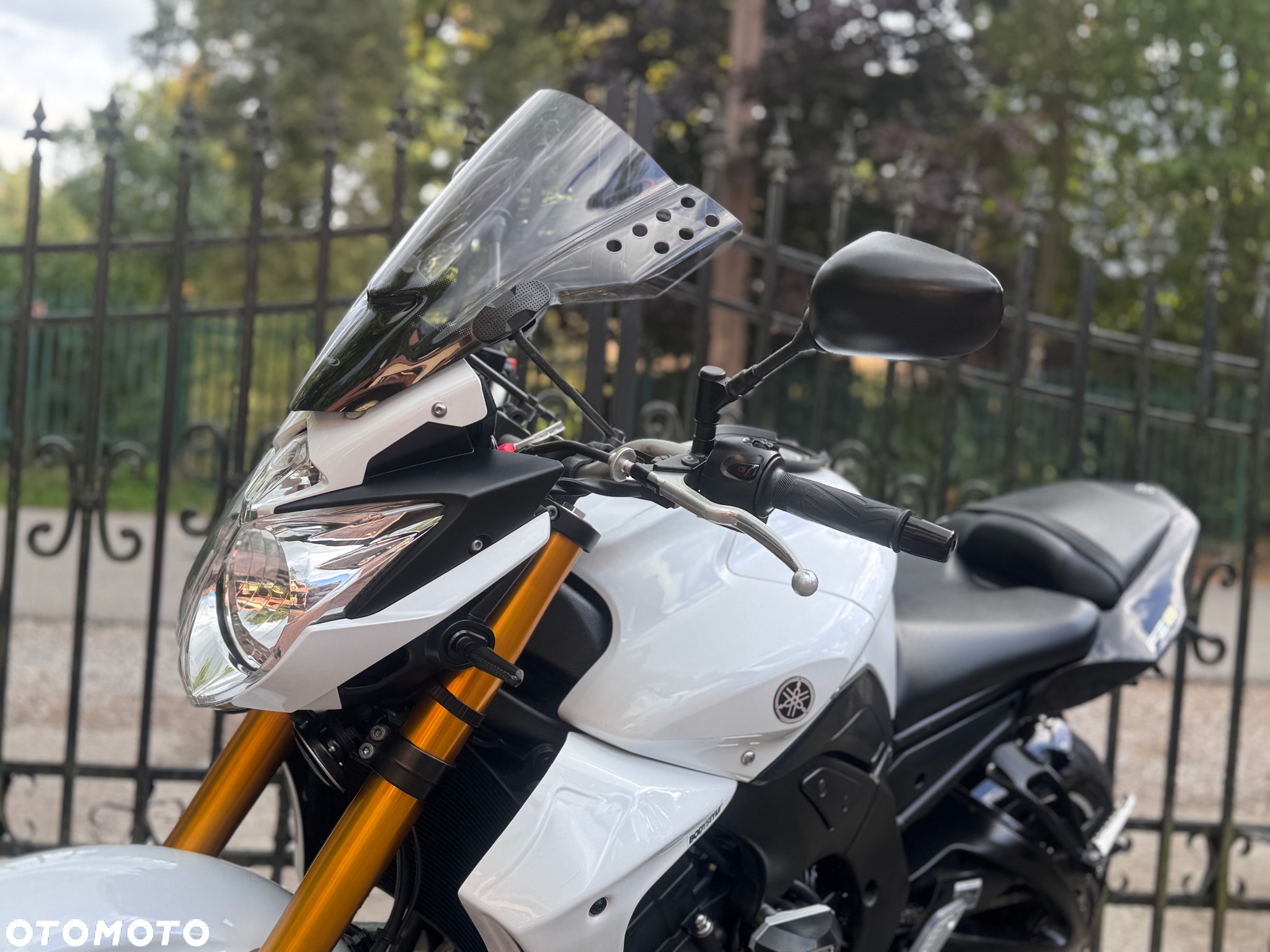 Yamaha FZ8 - 18