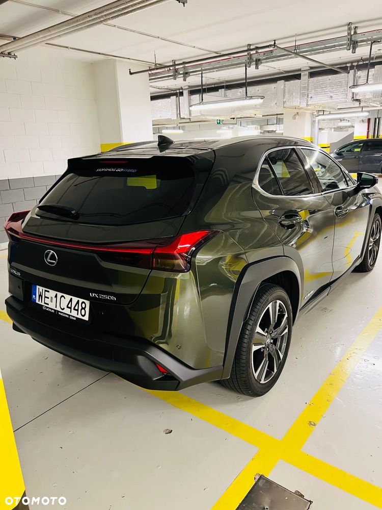 Lexus UX 250h GPF Business Edition 2WD - 5