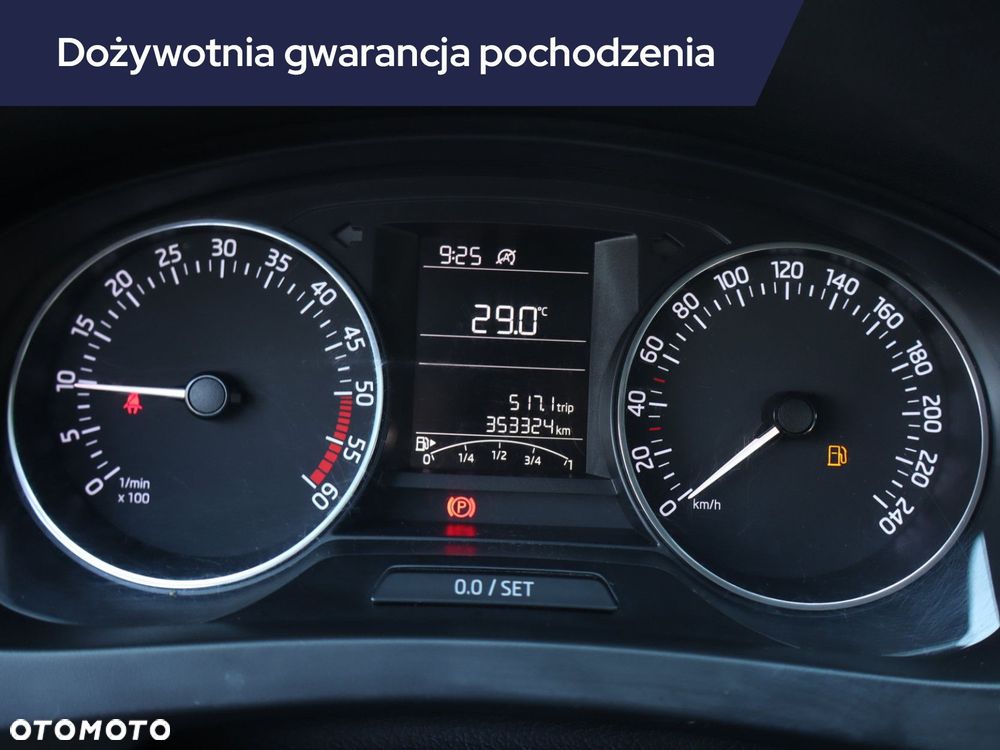Skoda RAPID - 13