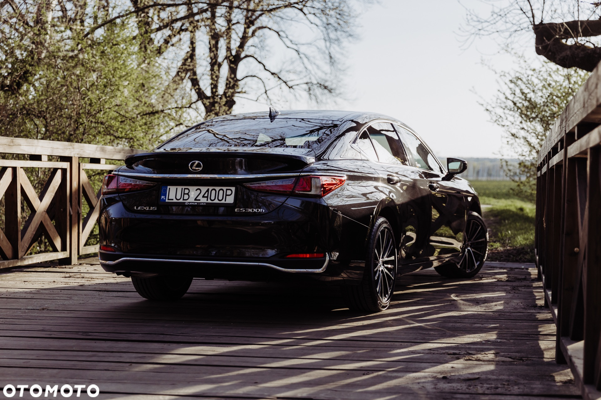 Lexus ES 300h Business Edition - 2