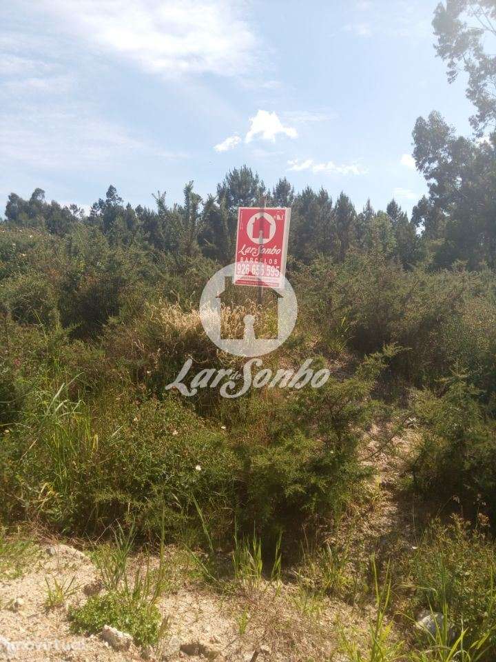 Terreno industrial para construção - Grande imagem: 5/21