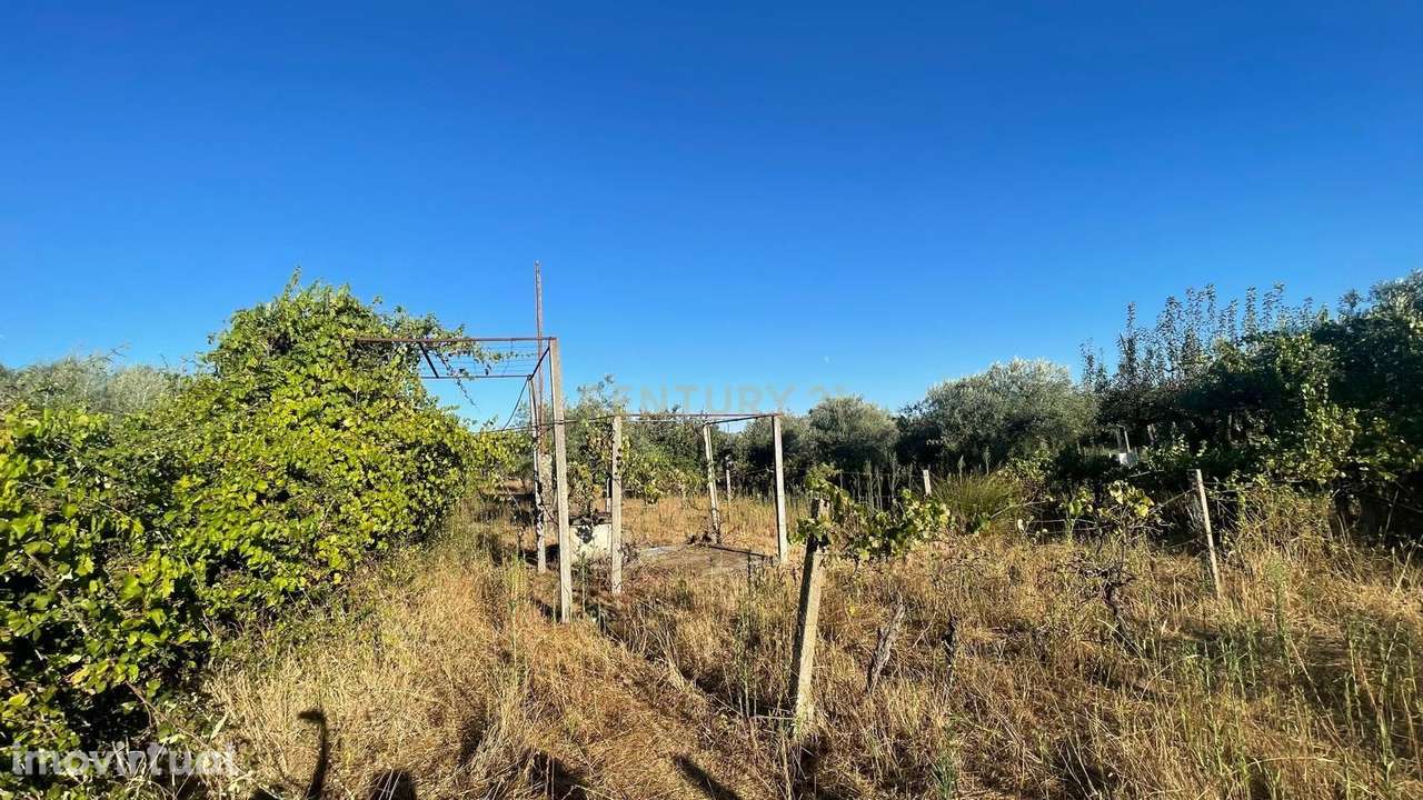Terreno rústico em Aldeia do Bispo, Penamacor - Grande imagem: 5/12