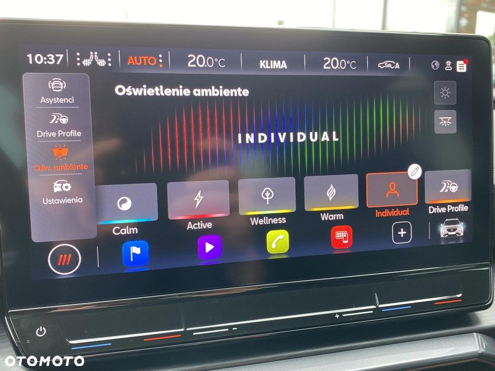 Cupra Formentor 2.0 TSI 4Drive VZ DSG - 31