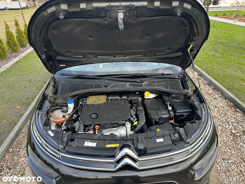 Citroën C4 Cactus - 18
