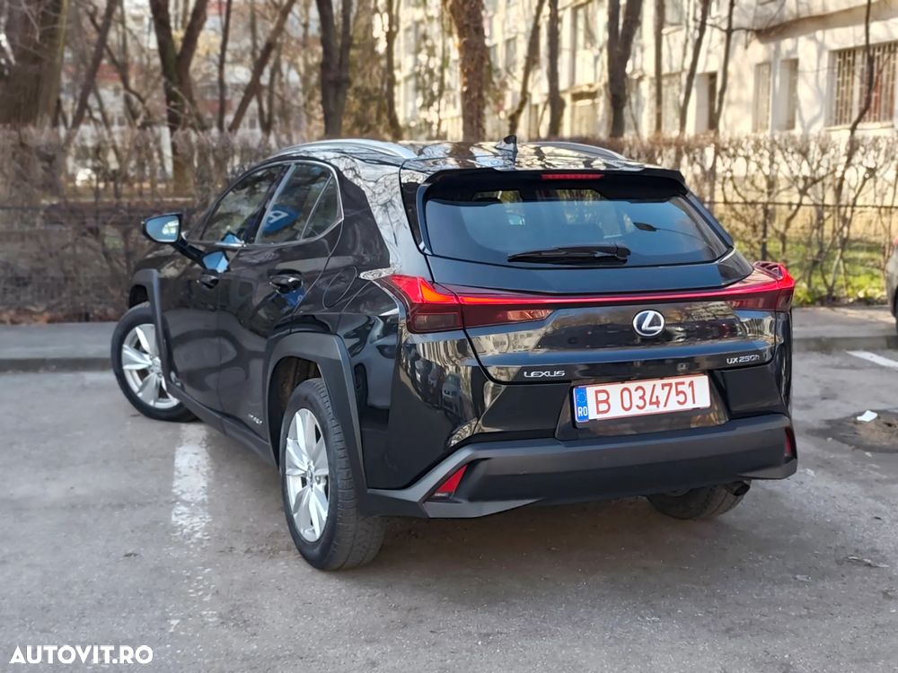 Lexus UX 250h E-FOUR Business - 6