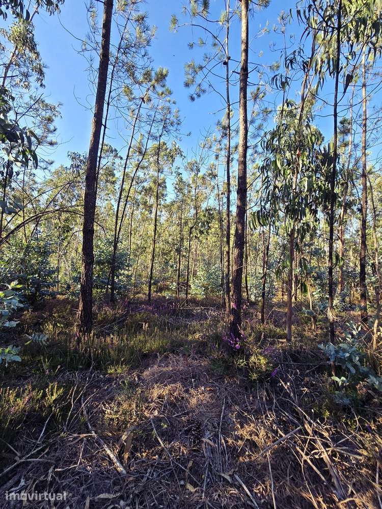 Terreno  Venda em Laundos,Póvoa de Varzim - Grande imagem: 2/11