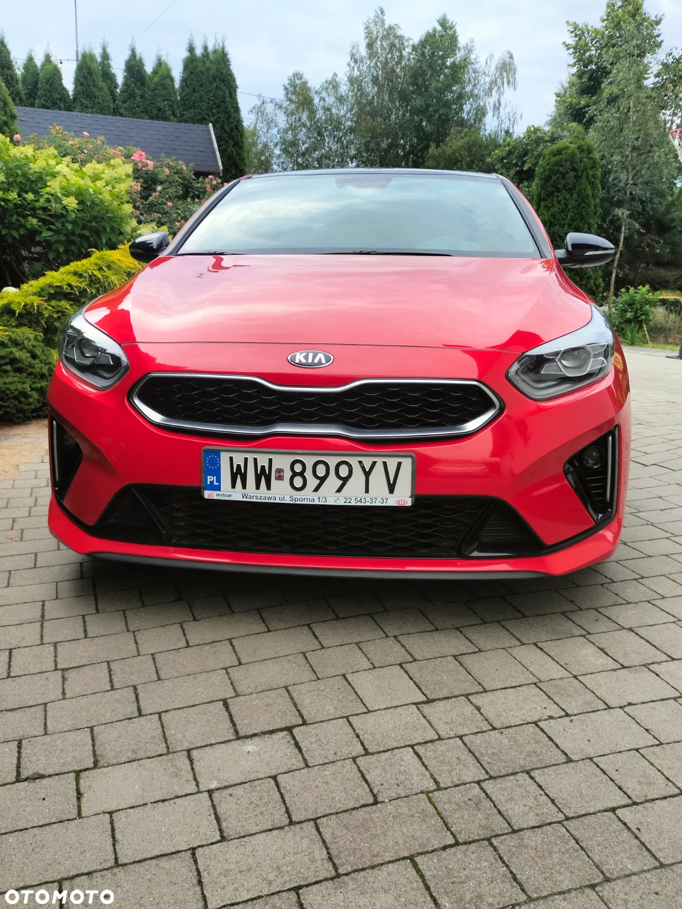 Kia ProCeed 1.4 T-GDI GT Line DCT - 24