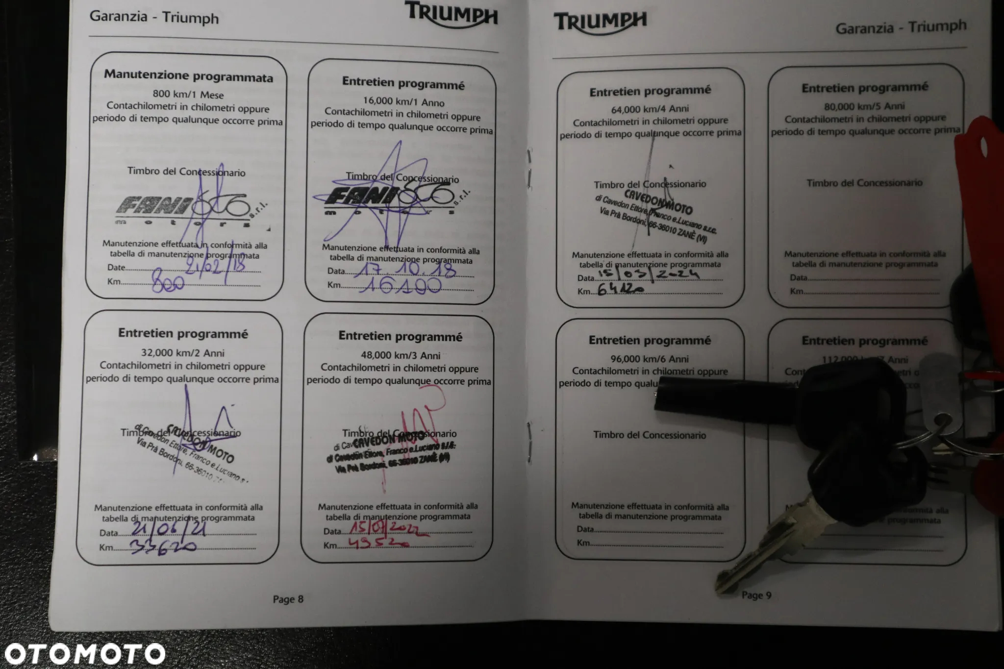 Triumph Tiger - 25