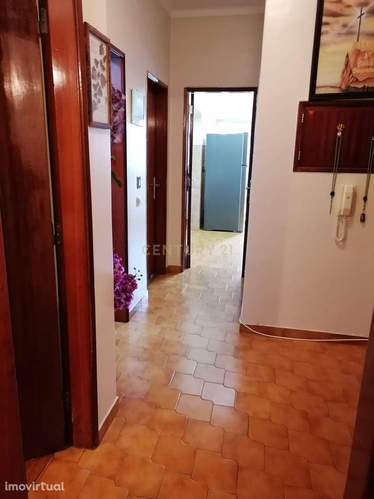 T3 no Lavradio - Grande imagem: 3/14