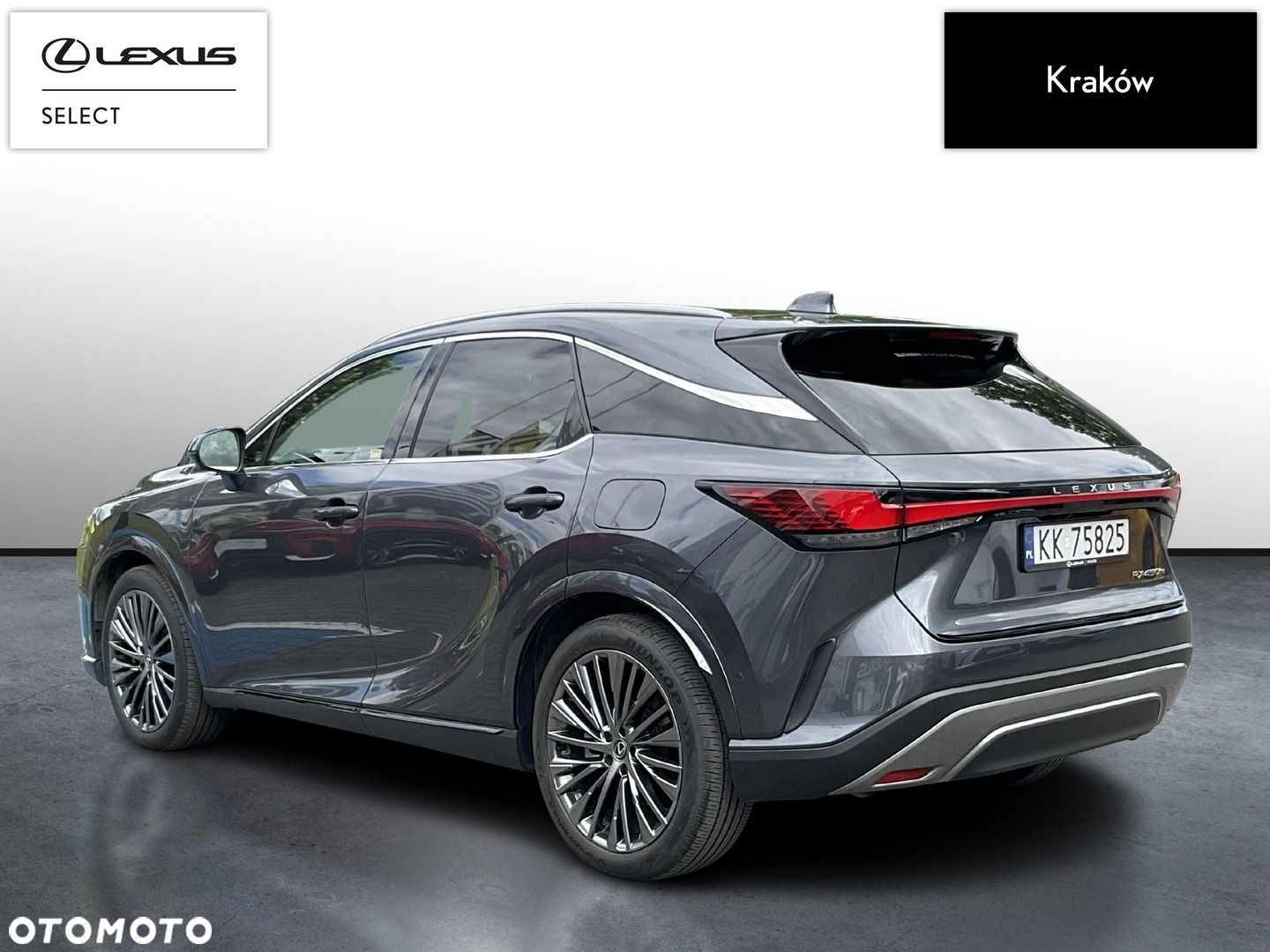 Lexus RX - 3