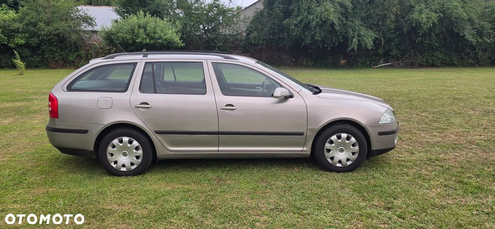Skoda Octavia 1.9 TDI Elegance DSG - 10
