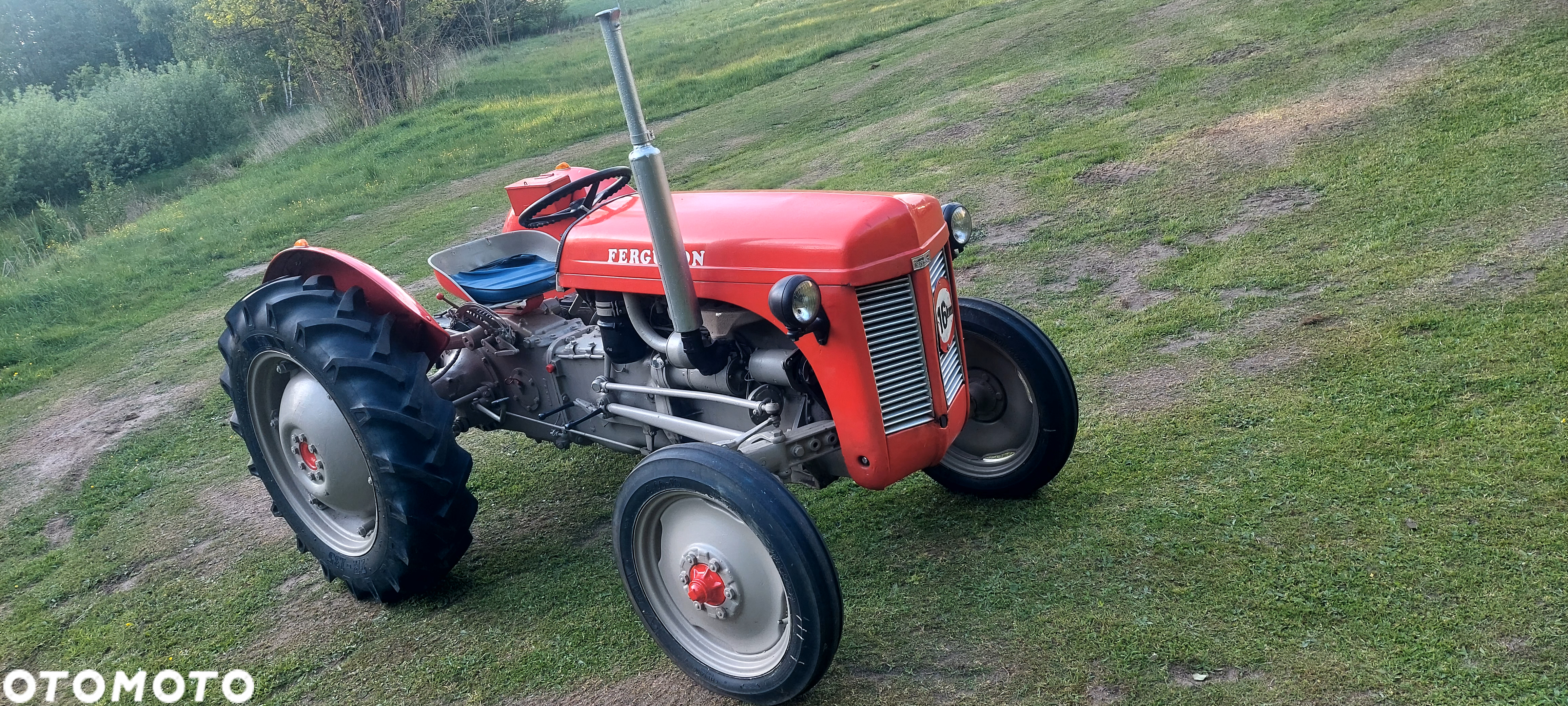Massey Ferguson TEF-20 - 6
