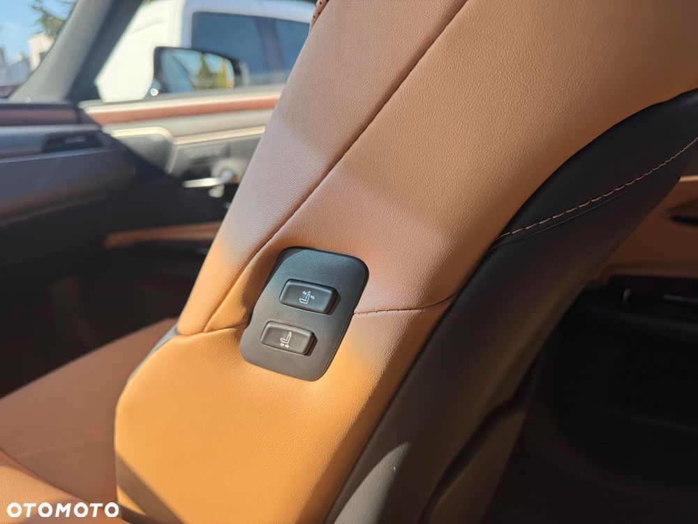 Lexus ES 300h Omotenashi - 20