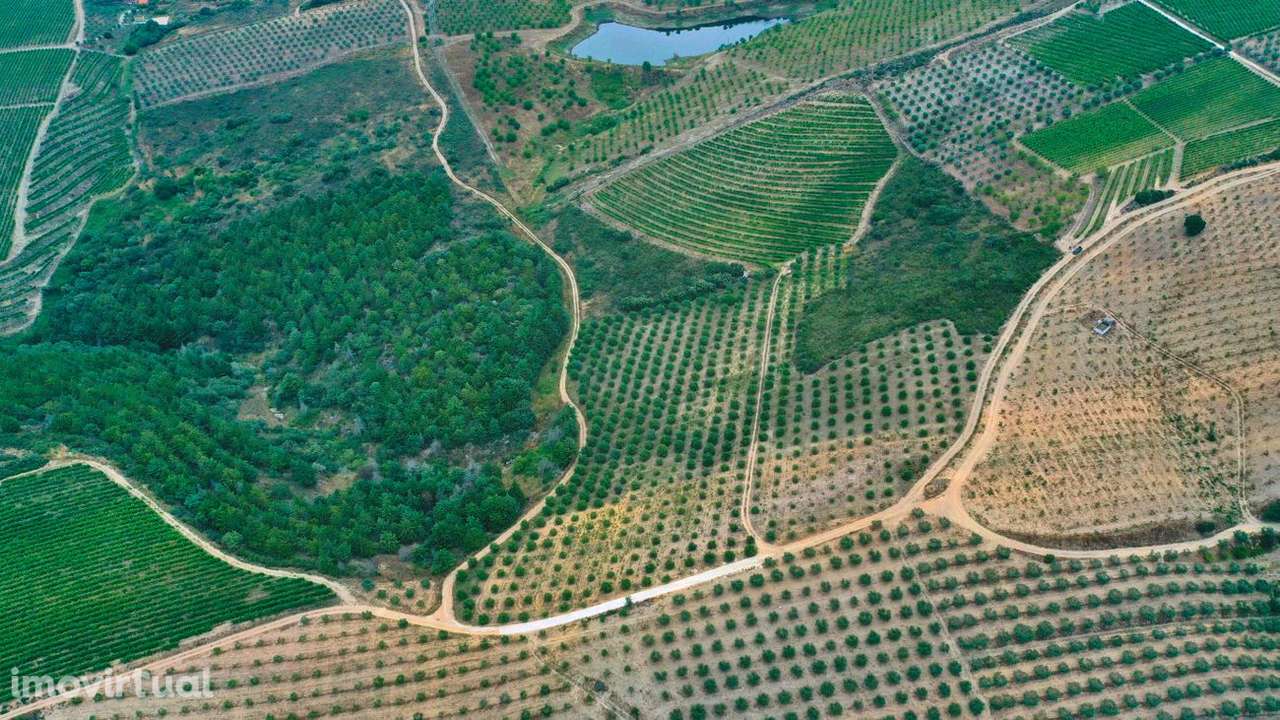 Terreno  para venda - Grande imagem: 2/9