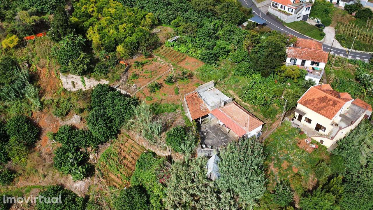 Terreno Agrícola em Faial, Santana - Ilha da Madeira - Grande imagem: 5/5