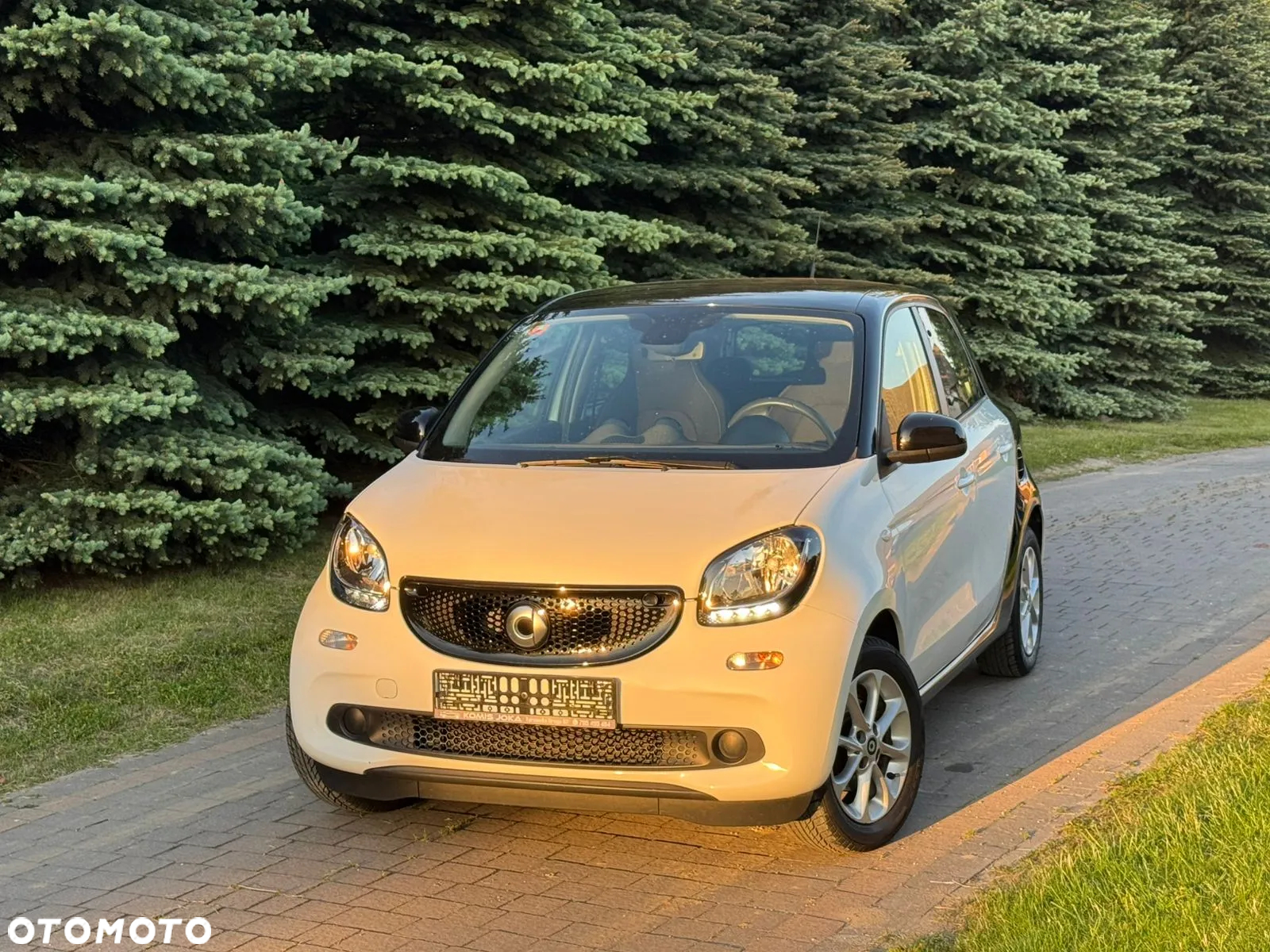 Smart Forfour passion - 10