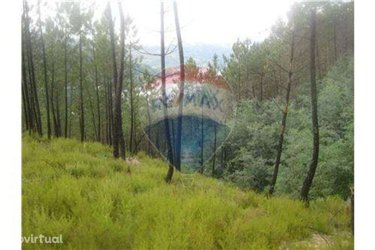 Terreno T0 para venda - Grande imagem: 5/21