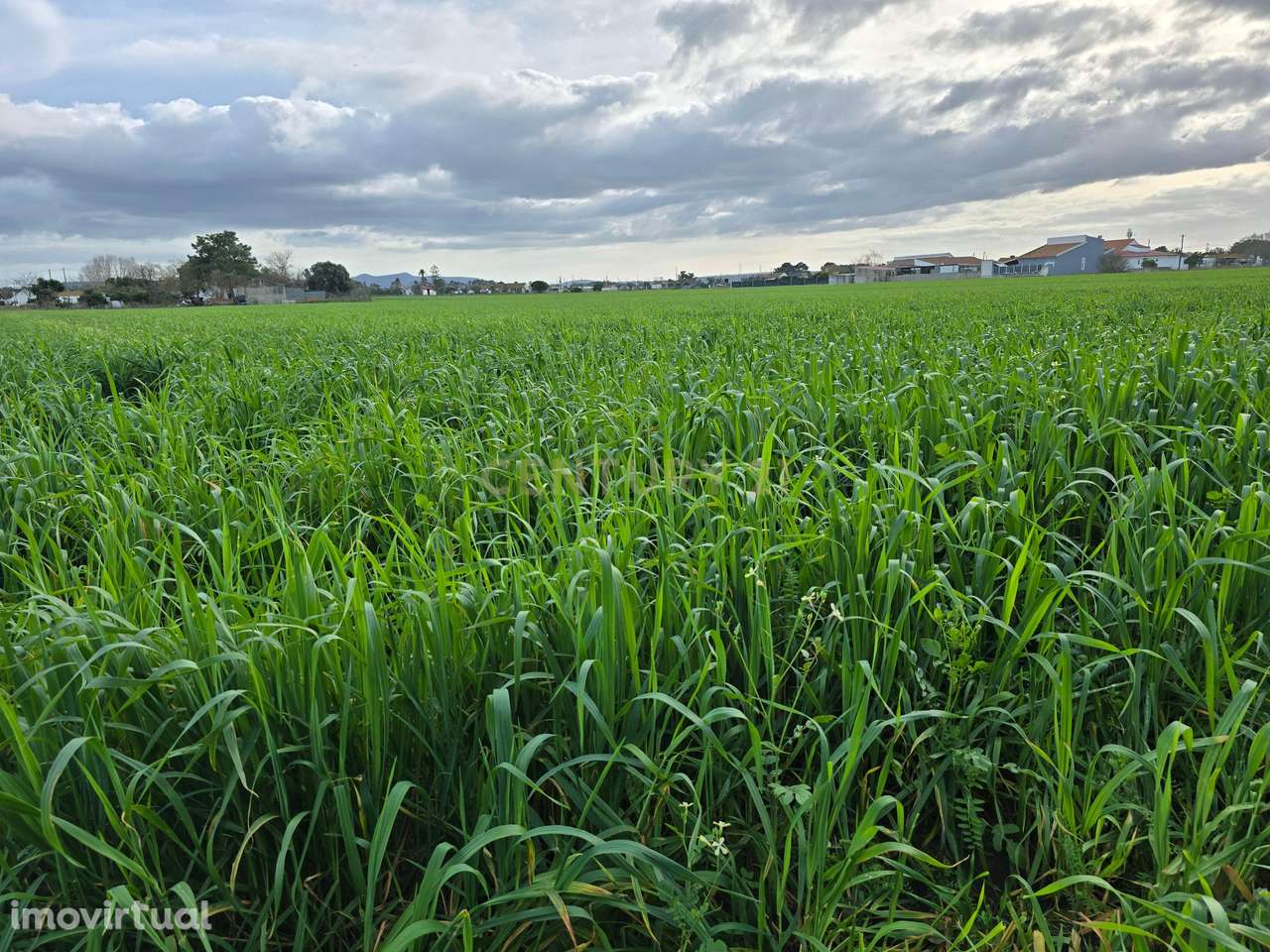 Terreno Rústico na Moita - Grande imagem: 2/5