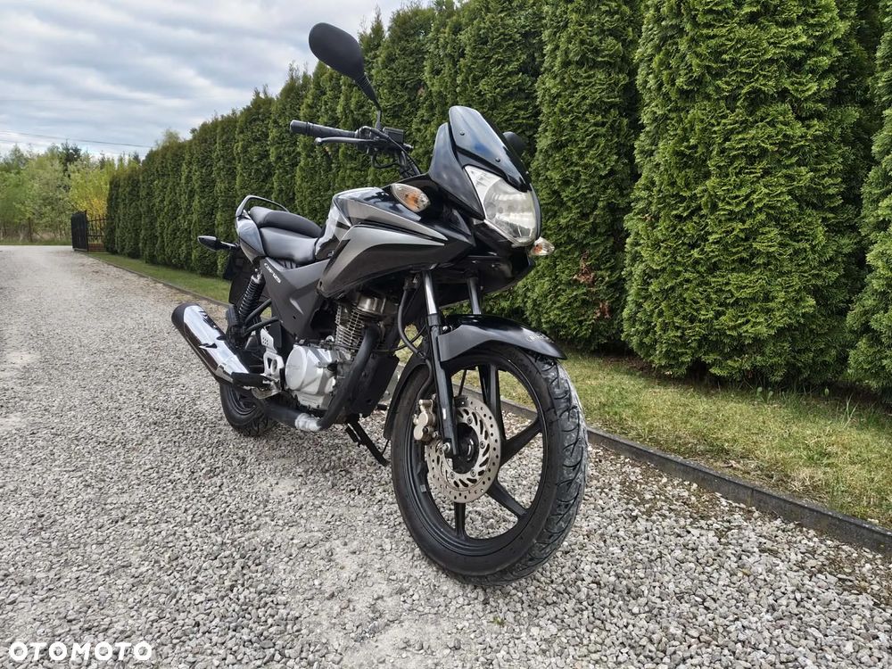 Honda CBF - 7