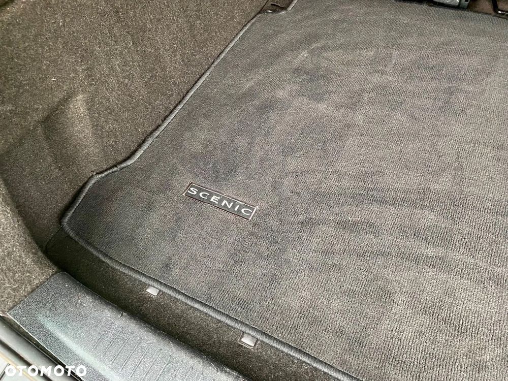 Renault Scenic - 34