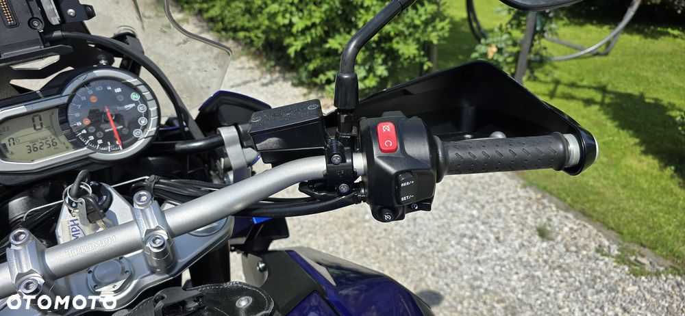Triumph Tiger - 8