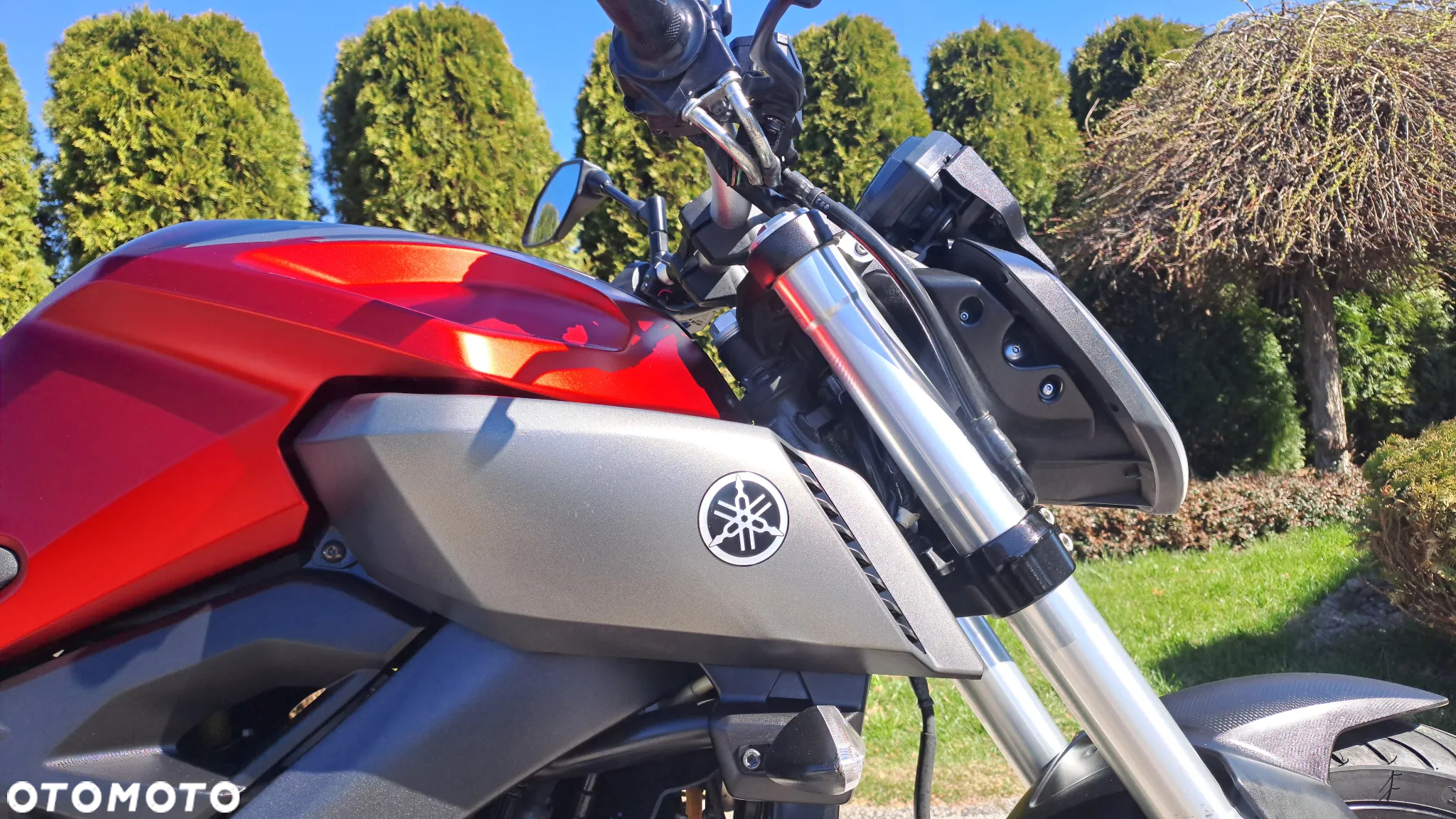 Yamaha MT - 15