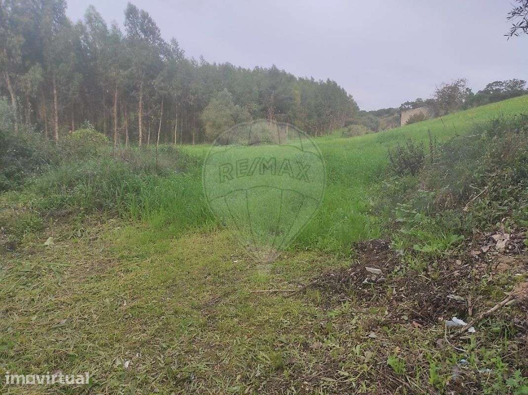 Terreno  para venda - Grande imagem: 3/12